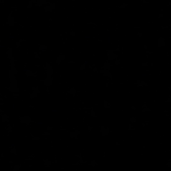 Meet your Posher, Fatima - Picture 1 of 1